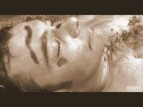 Rado Shisharkata   Beli Ptici