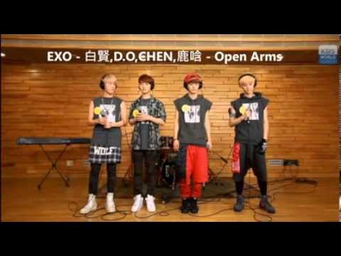 EXO (Baekhyun, D.O, Chen, Luhan) - Open Arms @ A Song For You AUDIO/DL