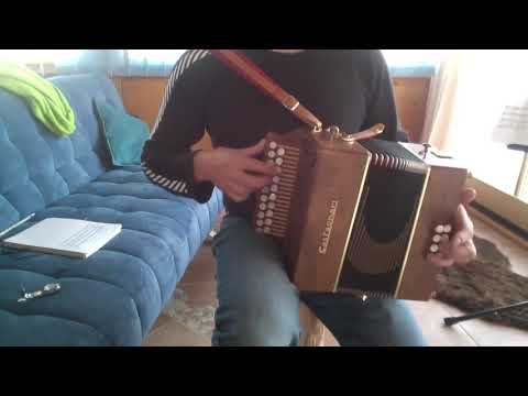 Morning Star & Flowers of Edinburgh - Castagnari Sander D/G