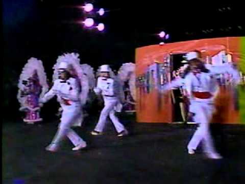 1986 Hegeman String Band - Roar 20's roar