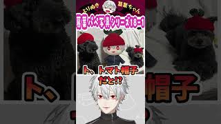 葛葉パペ写真シリーズ18-1 #葛葉 #vtuber #切り抜き #にじさんじ