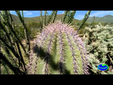 DjOcean90 | Darude - Sandstorm