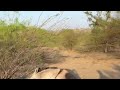 Donkey Meeting First Time