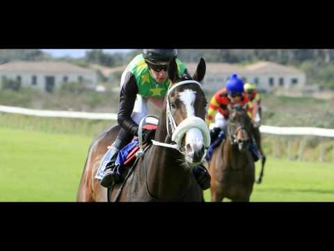 Hard Day's Night (Rameshwar Gujadhur)