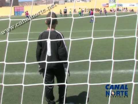 Fútbol Base Benjamín: Sardina C. F. - C. D. Roque Amagro