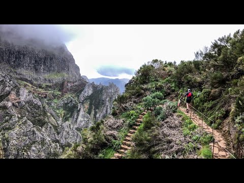 Inside the MIUT 115 2022. Over Island and Sea, the 13th edition of the Madeira Island Ultra Trail!