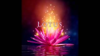 My new Album Lotus  is out now. A cool behind the scenes look!