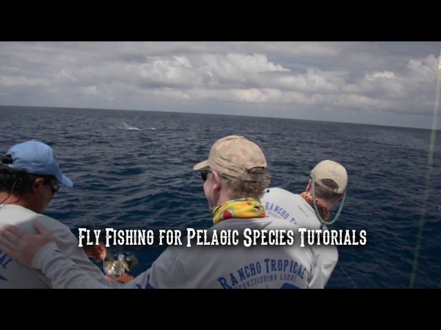 Rancho Tropical - Fly Fishing for Pelagic Species - Reel Set Up Video