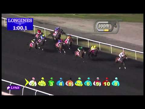 08.11.2012 Meydan (Dubai-UAE) 6.Race Emirates Airline - 1.200 m