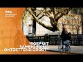 Petitie om straatintimidatie strafbaar te stellen naar Kamer