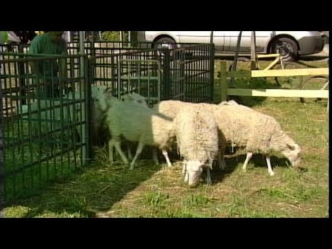 Tradate in campo, torna la Fiera Agricola