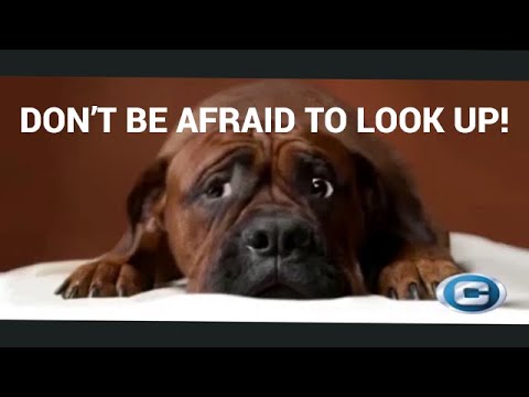 Cogan Mezzanines Ad 3