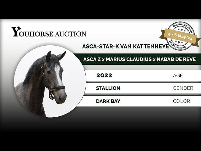 Asca-Star-K van Kattenheye Z