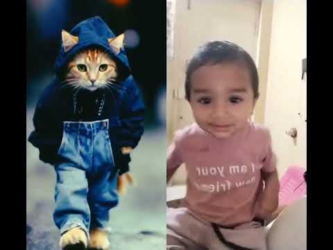 Remix With Dog Dance #shorts #dogdance