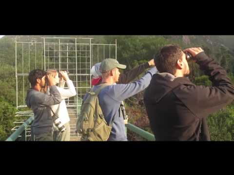 UCT Birding Club takes off