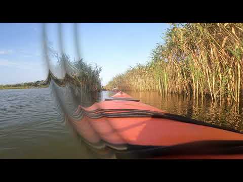 Expeditie cu caiacele- Delta Dunarii