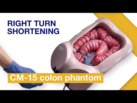 Basic Techniques of Colonoscope Insertion | Exercise 1: Right turn shortening