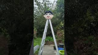 Download lagu Badut kepalanya disangkutin 😭 #funny #shorts mp3 Download lagu Badut kepalanya disangkutin 😭 #funny #shorts mp3