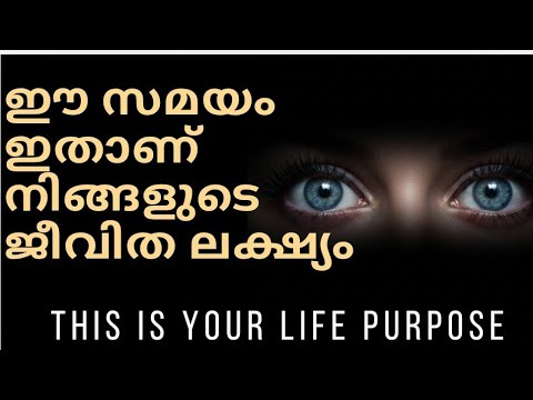 Your Life / soul Purpose  #today #tarot 