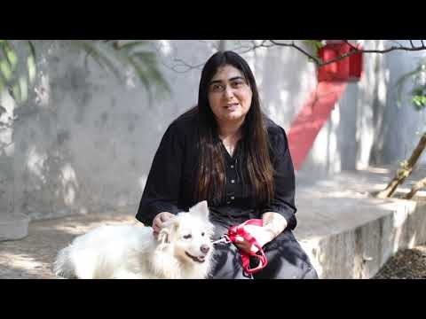 We are WSD (Documentary)