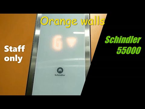 Staff only! (🎄) Schindler 5500 MRL Traction elevators at Rajićeva shopping center, Belgrade, Serbia