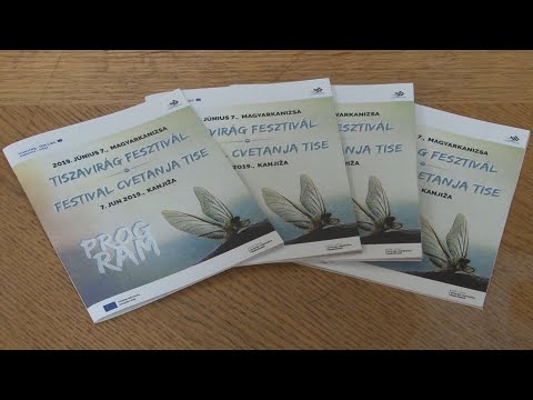 Tiszavirág Fesztivál Magyarkanizsán