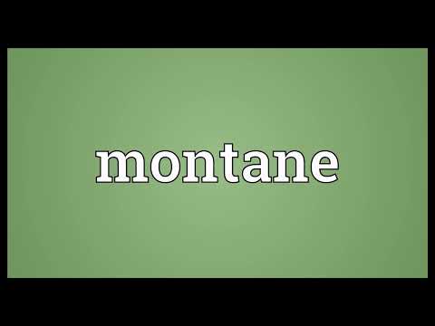 Montane Meaning - Montane mean in english