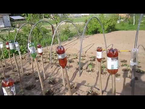 Для сада и огорода почти бесплатный парник