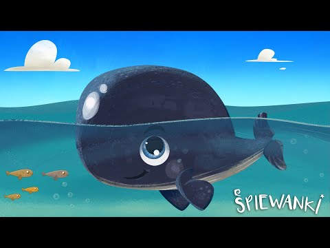 WIELORYB – Śpiewanki.tv - Piosenki dla dzieci