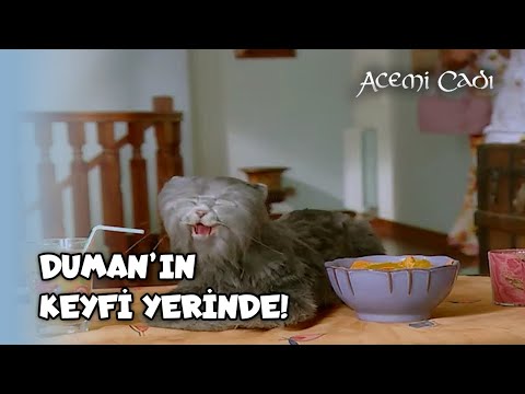 Duman Neden Bu Kadar Mutlu? - Acemi Cadı Özel Klip