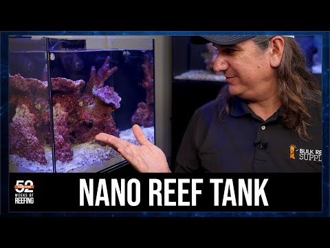 Week 11: Nano Reef Tank - Magnifying What Is Otherwise Lost | 52SE