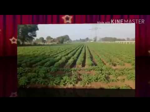 Agricultural fertilizers information