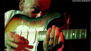 Wayne Kramer - Love, Fidel
