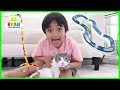 Testing Cat Gadgets And Toys On Our Cat