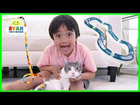 Testing Cat Gadgets and toys on our Cat!!
