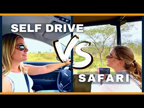 Self Drive Safari vs Guided Safari in Kruger Park 🐆