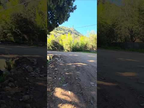 Sonido natural del río en Villa Elena, Cortaderas, San Luis 🌿💧