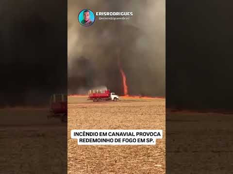 Um incêndio em um canavial na divisa entre Adamantina e Flórida Paulista (SP) esta semana. #sp