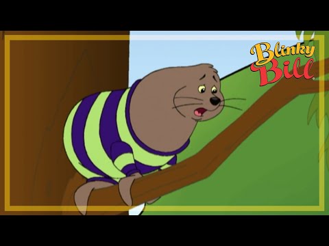 FLAPS NEW FAMILY - Episode 5 - Season 3 - The Adventures of Blinky Bill