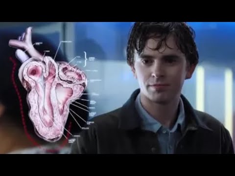 Melendez and Shaun relationship (The Good Doctor)