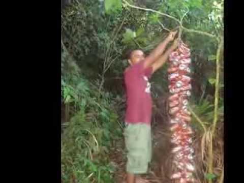 CARNAVAL EM SOCORRO SP 2014