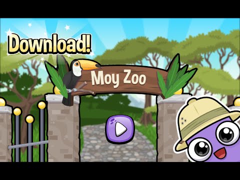Moy Zoo 🐻 Video