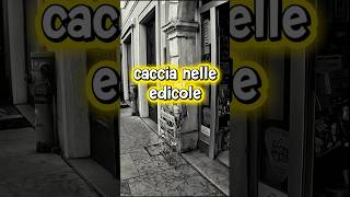 Caccia nelle edicole | Seguici!🔥 #pokemon #pokemonchannel #pokemoncards #edicola #pokemonreels
