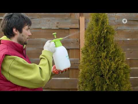 Mithilfe von Bittersalz ...?