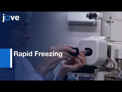 Sandwich Freezing Device-Good Ultrastructural Preservation:Biological Specimens l Protocol Preview