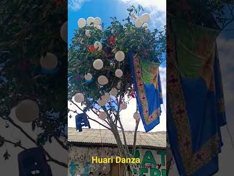 Huari Danza en San Nicolás - Ancash 😎✨🇵🇪 #fiesta # #carnaval #costumbresandinas #niños #viralshorts
