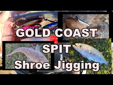 Gold CoaSPIT Land Based jigging fishing Rocky D