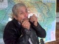Hora Muzicutelor Harmonica Maestru Gigi