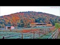Ian & Sylvia - "Short Grass"