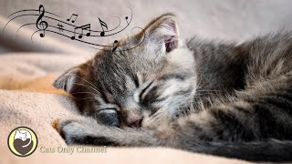 Music for Cats - Relaxing Harp Music & Cat Purring Sounds / Stress Relief, Anxiety Relief